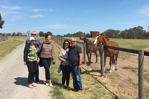 Champion Racehorse Tour With Beer And Wine Tasting - Winery Find 10