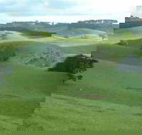 Day Tour of Phillip Island  Surrounding Region - Winery Find