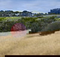 Estate to Plate Montalto Vineyard Gourmet Lunch and Wine-Tasting Tour - Winery Find