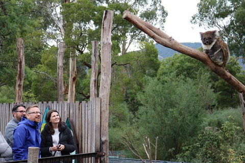 Yarra Valley Wildlife Express (Private Tour) - Winery Find 0