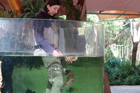 Yarra Valley Wildlife Express (Private Tour) - Winery Find 1