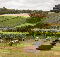 Montalto Vineyard Mornington Peninsula Discovery Wine Tasting and Lunch - Winery Find