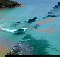 Cape Woolamai Sightseeing Cruise from San Remo - Winery Find