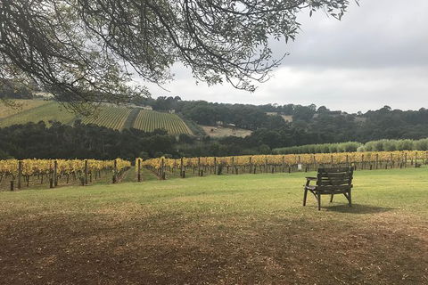 Rick's Wine Tours - Winery Find 1