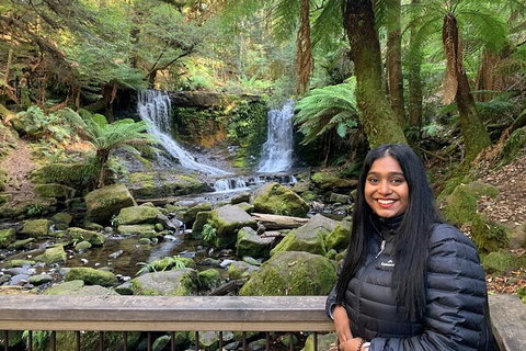 Day Tour In Mt. Field, Mt. Wellington, Bonorong Wildlife Sanctuary And Richmond - Winery Find 4