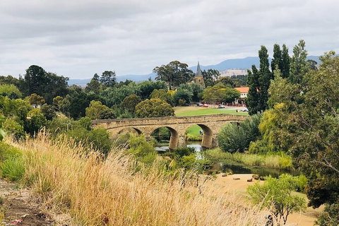 Day Tour In Mt. Field, Mt. Wellington, Bonorong Wildlife Sanctuary And Richmond - Winery Find 6