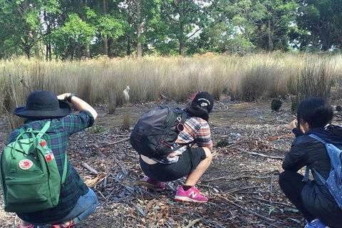 Small-Group Day Trip From Hobart To Bruny Island - Winery Find 1