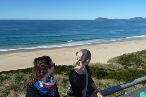 Small-Group Day Trip From Hobart To Bruny Island - Winery Find 9