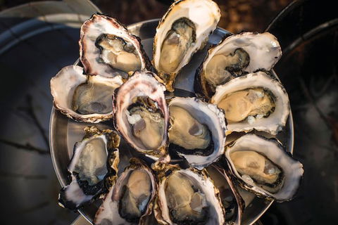 Small-Group Day Trip From Hobart To Bruny Island - Winery Find 4