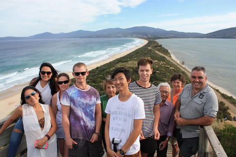 Small-Group Day Trip From Hobart To Bruny Island - Winery Find 8