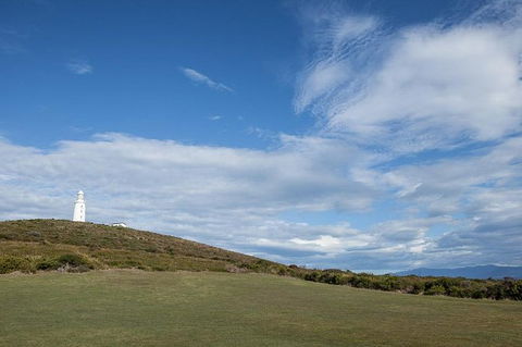 Bruny Island Premium Private Photo-oriented Day Tour From Hobart - Winery Find 1