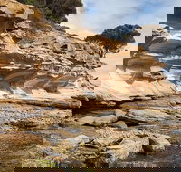 Maria Island premium private photo-oriented day tour from Hobart - Winery Find