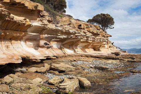 Maria Island Premium Private Photo-oriented Day Tour From Hobart - Winery Find 2