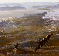 Mt Wellington Half Day Guided Summit Hike - Winery Find