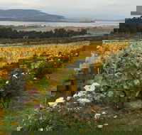 Mona and Wine Experience Tour - Winery Find