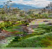 Shore Excursion Hobart's Best In Half A Day - Winery Find