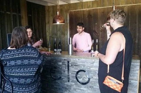 Tamar Valley Food And Wine Day Trip From Devonport, Ulverstone Or Burnie - Winery Find 0