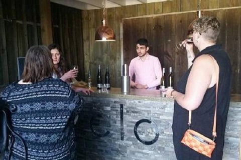 Tamar Valley Food And Wine Day Trip From Devonport, Ulverstone Or Burnie - Winery Find 1