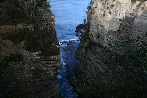 Cruise Ship Special From Port Arthur: Explore Tasman Peninsula With Free WiFi - Winery Find 1