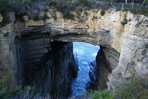 Cruise Ship Special From Port Arthur: Explore Tasman Peninsula With Free WiFi - Winery Find 0