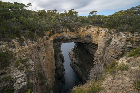 Cruise Ship Special From Port Arthur: Explore Tasman Peninsula With Free WiFi - Winery Find 2