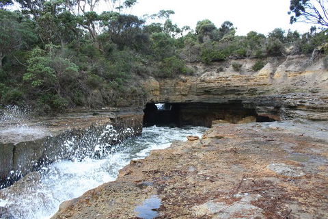 Cruise Ship Special From Port Arthur: Explore Tasman Peninsula With Free WiFi - Winery Find 7