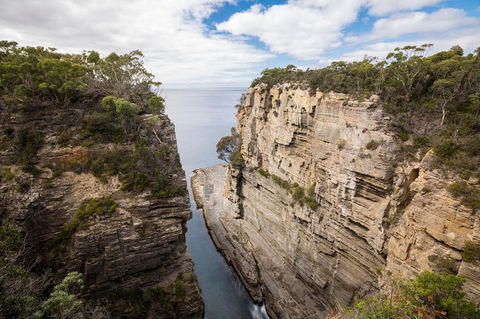 Cruise Ship Special From Port Arthur: Explore Tasman Peninsula With Free WiFi - Winery Find 3