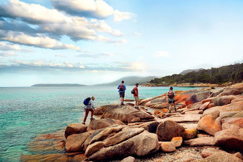 Great Walks Of Australia: 4-Day Freycinet Experience Walk - Winery Find 0