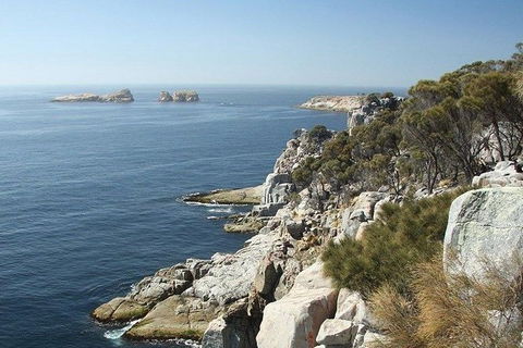 Great Walks Of Australia: 4-Day Freycinet Experience Walk - Winery Find 10
