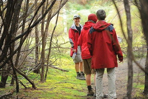 Great Walks Of Australia: 4-Day Freycinet Experience Walk - Winery Find 7