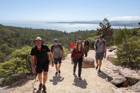 Active Day Tour One-Way From Hobart To Launceston With Wineglass Bay - Winery Find 3