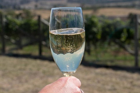 East Coast Splendour Gourmet Food Tour - Winery Find 6