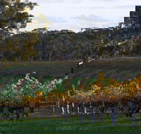 Barossa Valley with Hahndorf Tour from Adelaide - Winery Find