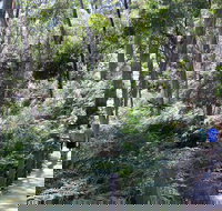 Self-Guided Waterfall Gully to Mount Lofty Hike from Adelaide - Winery Find