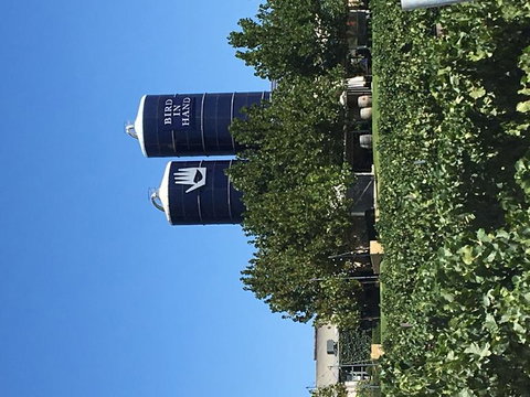 Adelaide Hills And Hahndorf Tour From Adelaide With Wine And Cheese Tasting - Winery Find 4