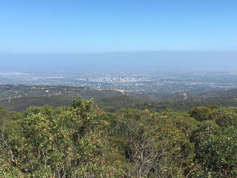 Adelaide Hills And Hahndorf Tour From Adelaide With Wine And Cheese Tasting - Winery Find 8