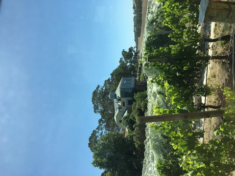 Adelaide Hills And Hahndorf Tour From Adelaide With Wine And Cheese Tasting - Winery Find 7