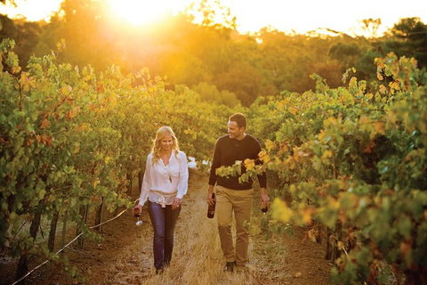 Barossa Valley Highlights From Adelaide Including Wine And Cheese Tasting - Winery Find 11