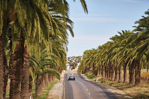 Barossa Valley Highlights From Adelaide Including Wine And Cheese Tasting - Winery Find 3