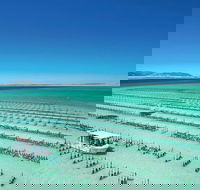 Coffin Bay Private Day Tour from Port Lincoln - A Taste of Coffin Bay - Winery Find