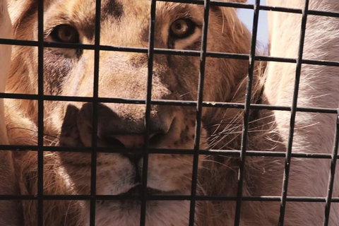 Adelaide Bar Boys Adelaide Hills Experience - Winery Find 1