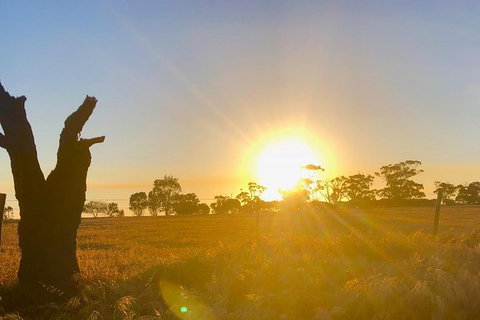 Fleurieu Explorer 3 Day 2 Night Cycle Camping Self Guided Tour - Winery Find 4