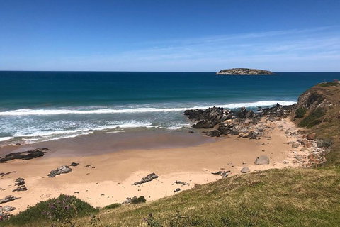 Fleurieu Explorer 3 Day 2 Night Cycle Camping Self Guided Tour - Winery Find 6