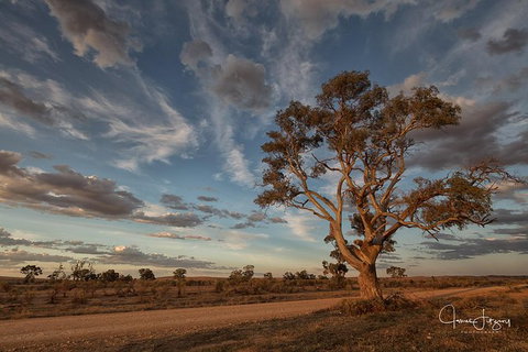 Flinders Ranges Photography Tour - Winery Find 0
