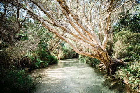All-Inclusive 2-Day Fraser Island Tour - Winery Find 11