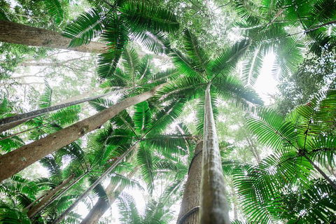 All-Inclusive 2-Day Fraser Island Tour - Winery Find 8