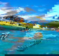 Ocean Rafting Tour to Whitehaven Beach Hill Inlet Lookout  Top Snorkel Spots - Winery Find