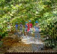 Whitsunday Segway Rainforest Discovery Tour - Winery Find