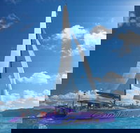 Whitsunday Islands Sailing Adventure - Winery Find