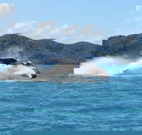 Whitsundays Whale Watching Cruise from Airlie Beach - Winery Find